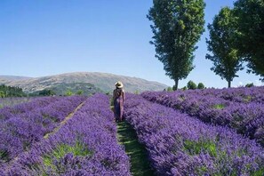 Tour ecologici