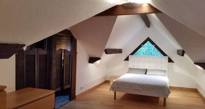 Magnificent, bright house with large garden, conveniently located. Quiet neighborhood