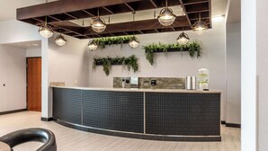 Un área de recepción con mostrador curvo, plantas colgantes e iluminación colgante.