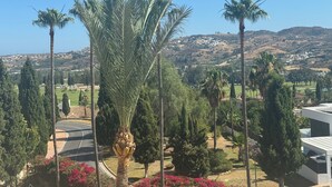 A landscaped area with palm trees, cypress trees, and flowering bushes.
