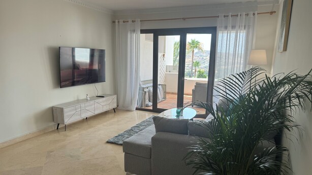 A modern living room with a flat-screen TV, a grey sofa, a small round table, and a large potted plant.