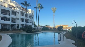 A swimming pool with a curved edge, surrounded by a paved area and palm trees.