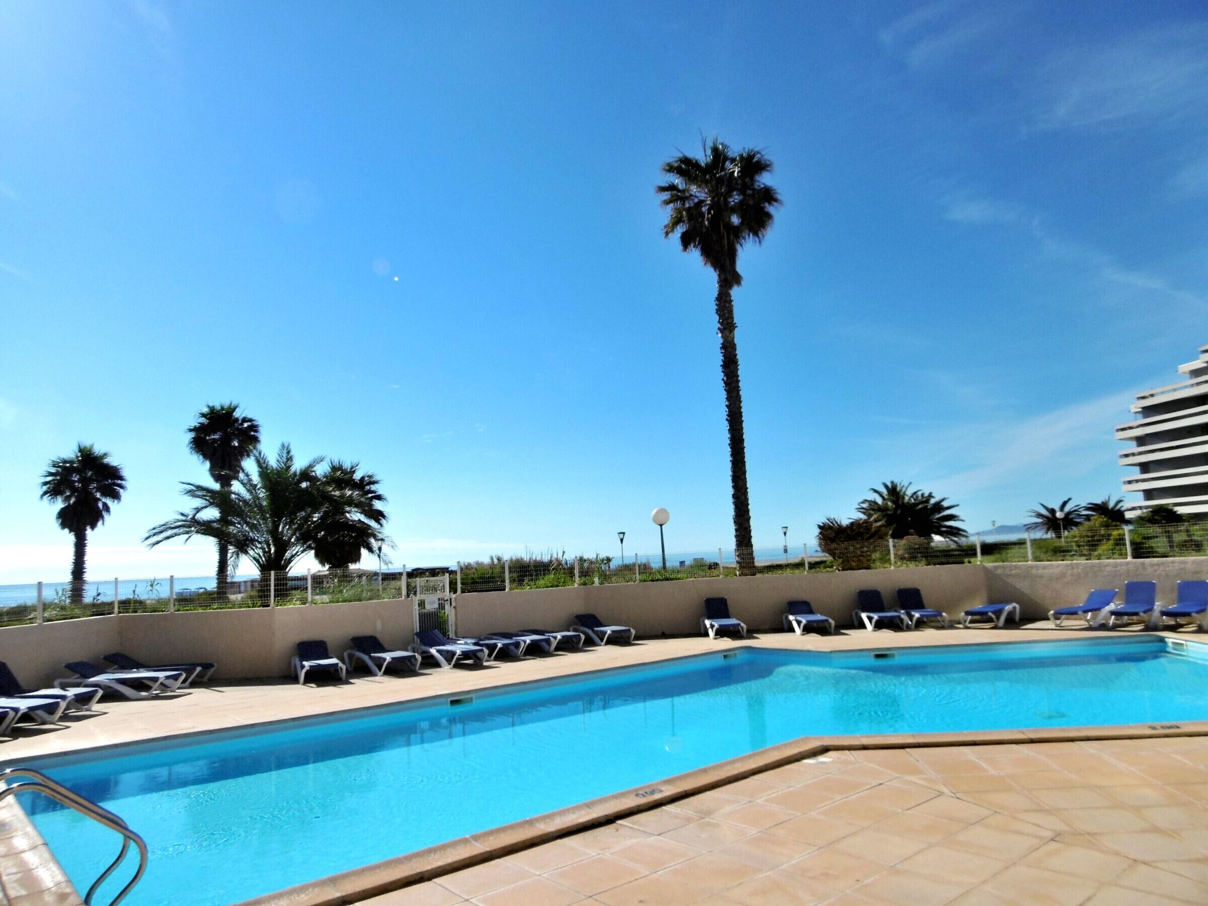 A swimming pool with sun loungers and palm trees.
