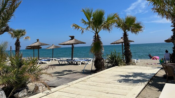 A beachside area with thatched umbrellas, lounge chairs, and palm trees.