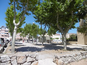 A street lined with trees and parked cars, with buildings in the background.