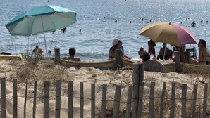 A beach with people swimming and sitting under umbrellas. - Charming 3-Room Villa with Mezzanine, Steps from Beach and Port in Saint-Cyprien (Saint-Cyprien)