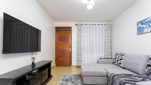 Una sala de estar moderna con un televisor de pantalla plana, un sofá gris y una puerta de madera.