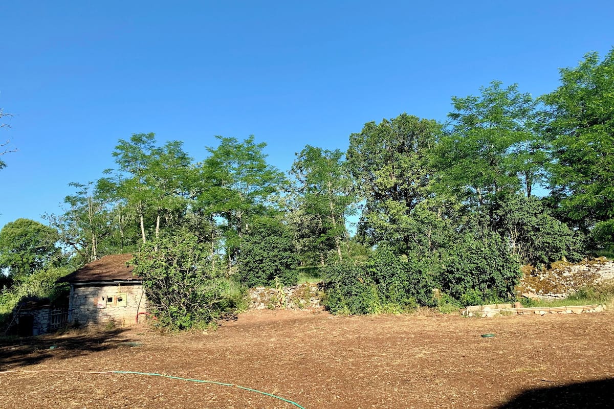 Een landelijk landschap met een stenen gebouw, dichte bomen en een heldere lucht.