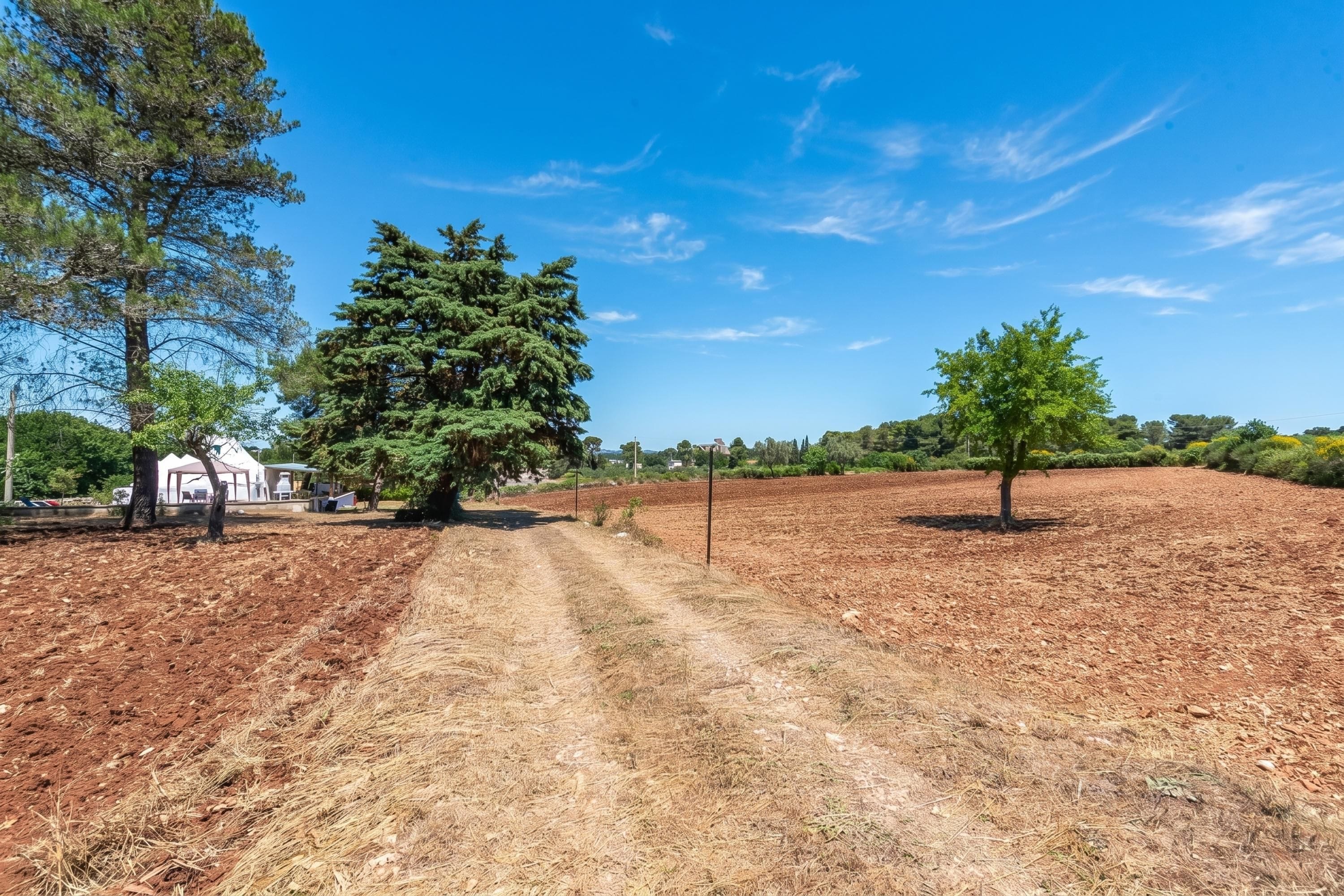 Ländliche Landschaft mit einem Feldweg, Bäumen und einem weißen Gebäude.
