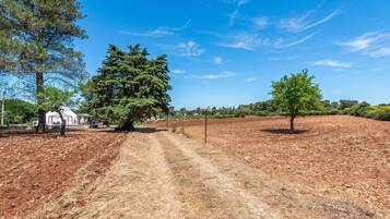 A rural landscape with a dirt path, trees, and a white building.