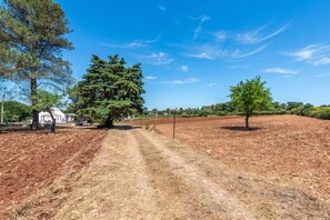 Un paysage rural avec un chemin de terre, des arbres et un bâtiment blanc.