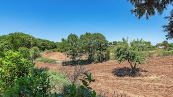 Family Villa, Multiple Bedrooms, Mountainside (Trullo del Bosco In Martina Franca) | Exterior