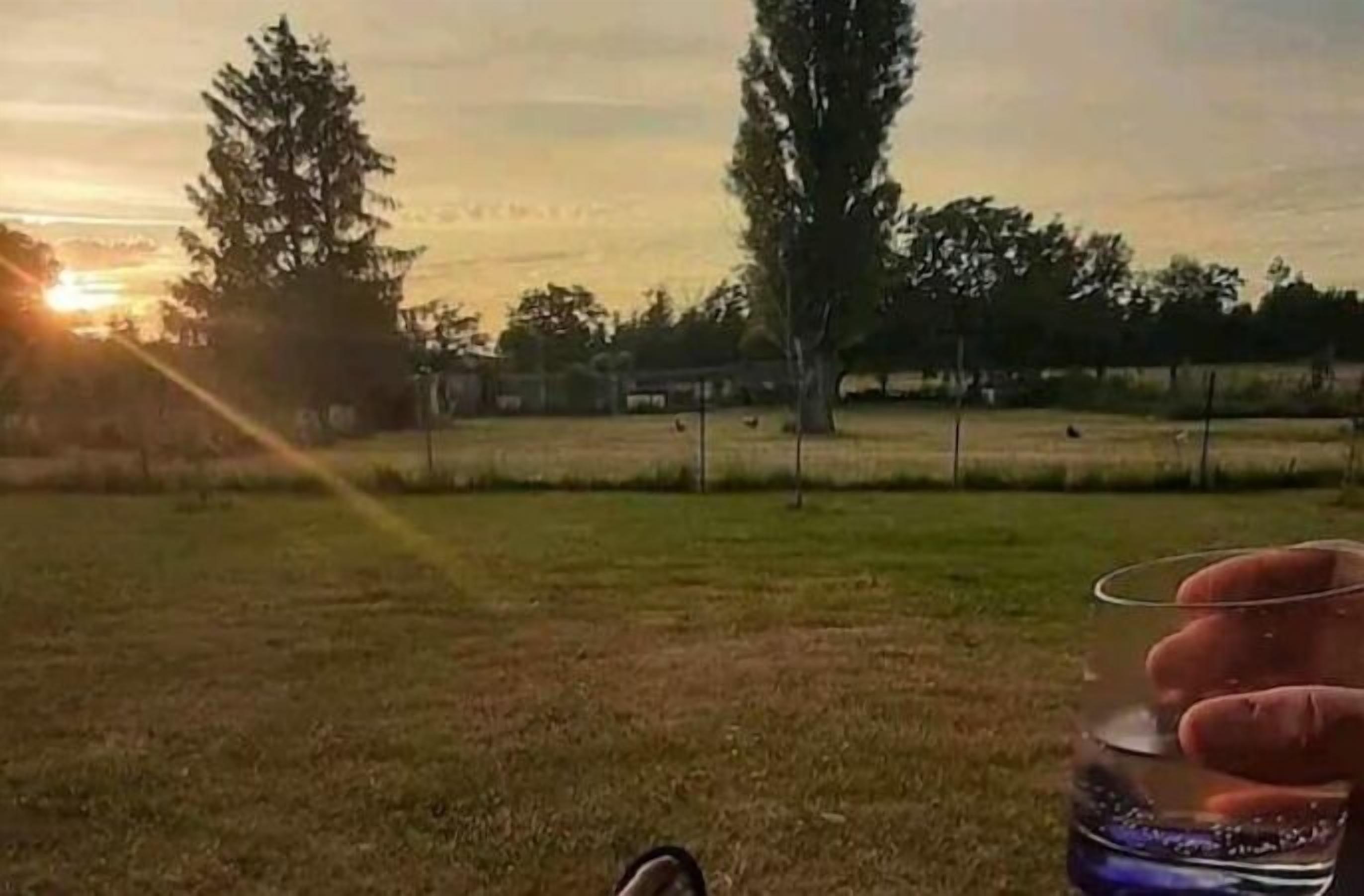 A grassy field with a sunset in the background and a clear sky.