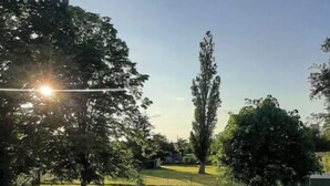 A sunny outdoor area with a paved path, green grass, and several trees. - The AleXan balneotherapy chalet (Quinssaines)