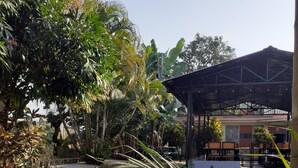 A garden with potted plants, a pathway, and a covered seating area. - Hotel Vibe (Pokhara)
