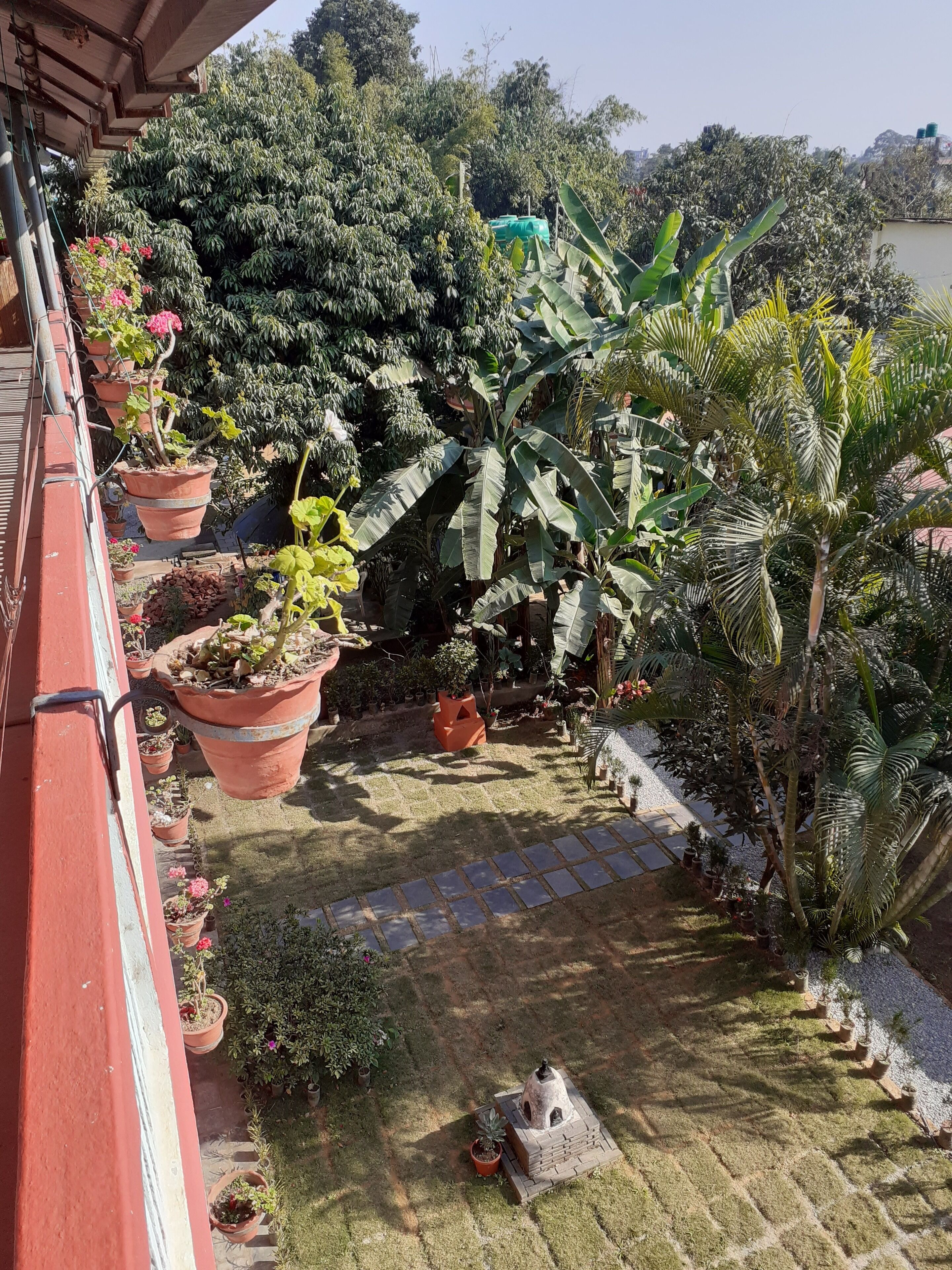 Un jardin agrémenté de plantes en pot, une petite construction en briques et un chemin dallé.