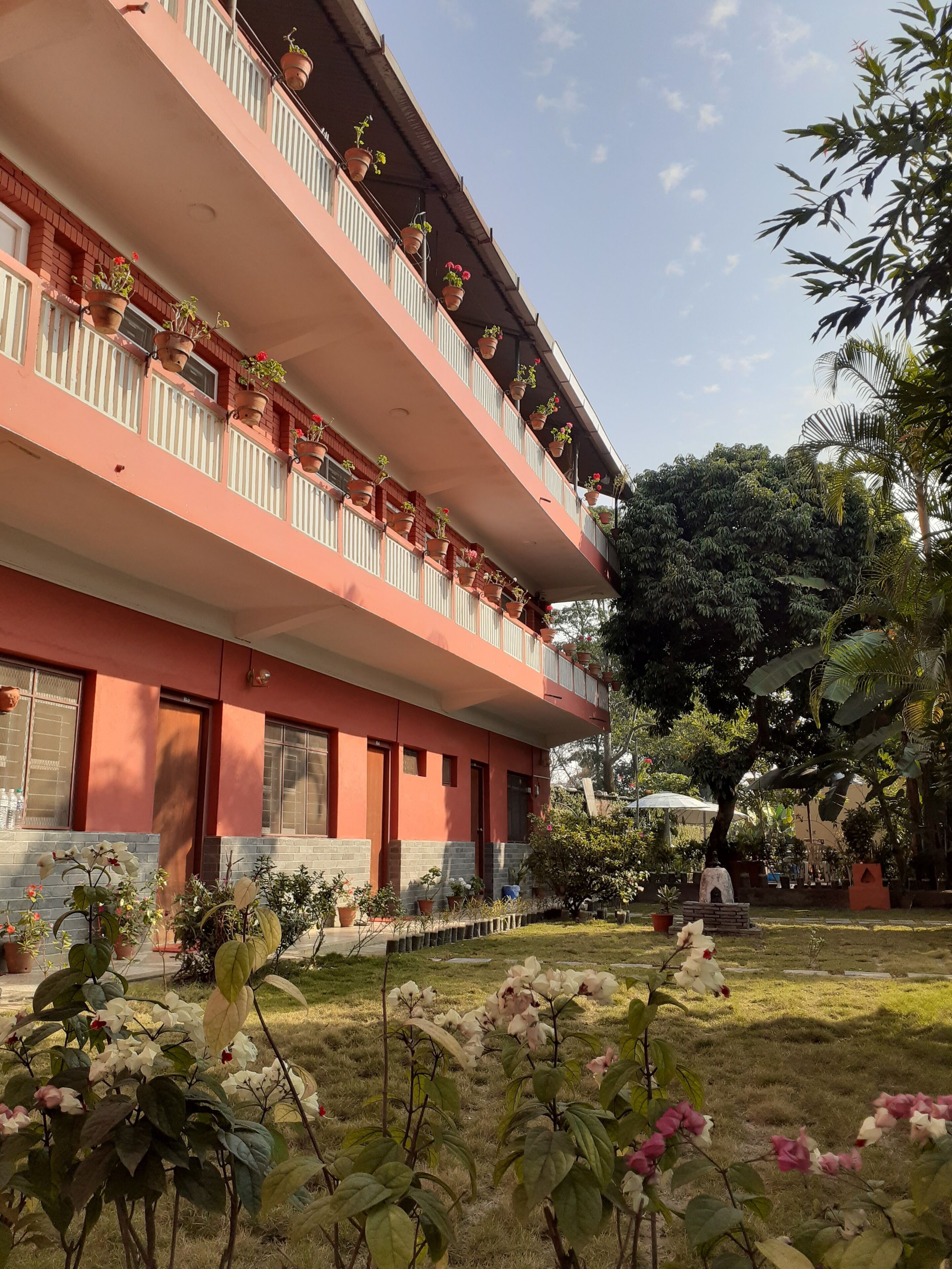 Taman