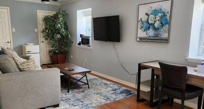Travis Heights Oasis!