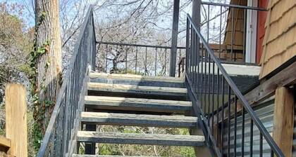 Travis Heights Oasis!