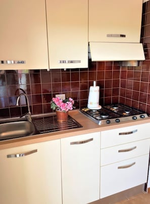 Fridge, microwave, stovetop, cookware/dishes/utensils