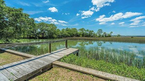 Une jetée en bois s’étendant sur une étendue d’eau calme, bordée d’une végétation luxuriante et d’arbres, sous un ciel bleu dégagé.