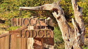 Front of property - Lucca Lodge  (Musina)