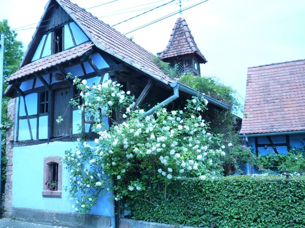 Exterior - Authentic Alsatian house with magnificent garden (uttenhoffen)
