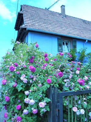 Exterior detail - Authentic Alsatian house with magnificent garden (uttenhoffen)