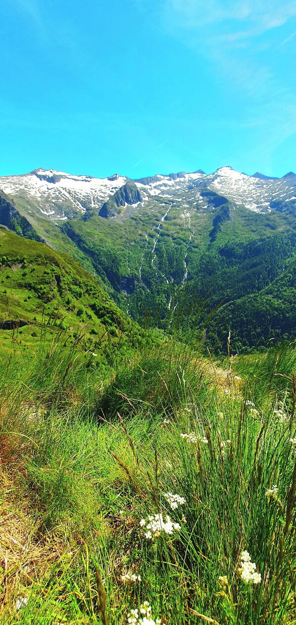 Miscellaneous - A haven of peace in the heart of the Pyrenees (Ustou)