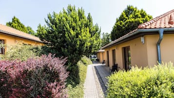 Esterni