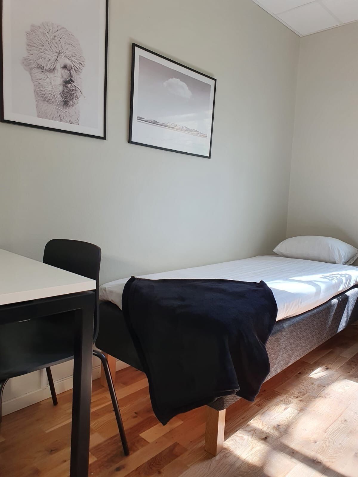 Una habitación pequeña y ordenada con una cama individual, un escritorio y dos cuadros en la pared.