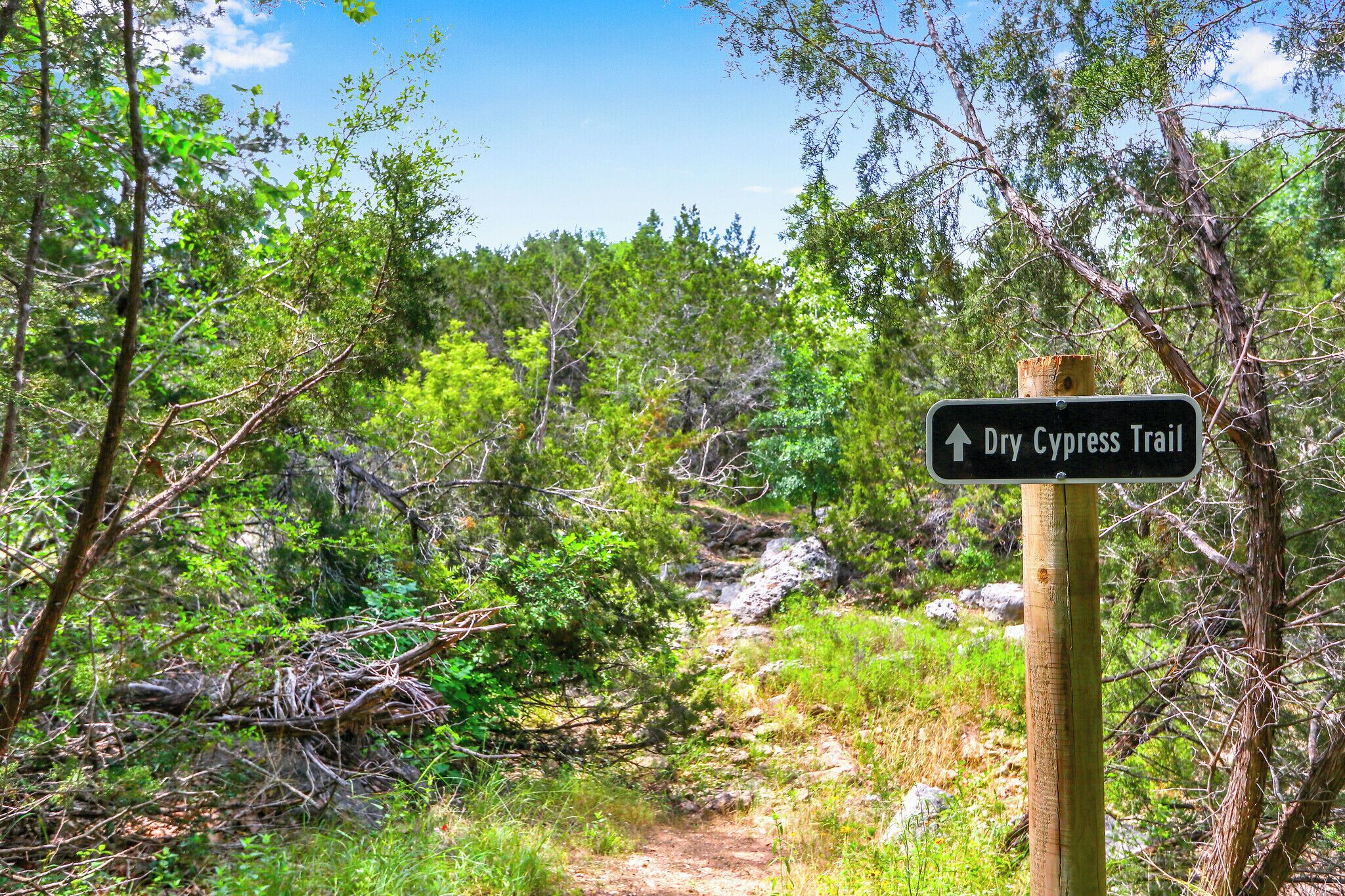 A sign for the Dry Cypress Trail in a wooded area.