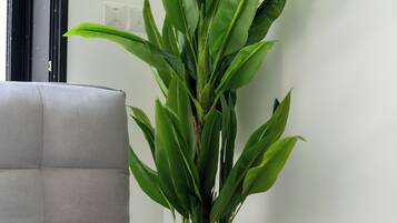 尊尚公寓 | 客廳 | 電視