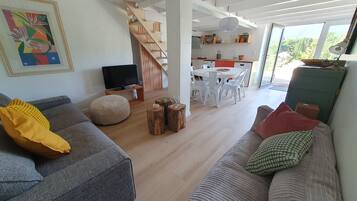 Smart TV, DVD player, books, video library