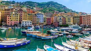 A marina with numerous boats docked, surrounded by colorful buildings and a hillside in the background. - Charming Apartment Historic Center Camogli (Camogli)