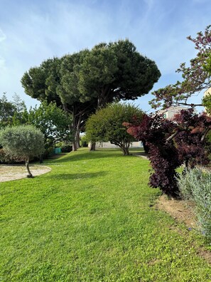 Property grounds - Superb apartment in provencal residence with pool (Antibes)