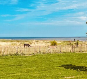 Sur la plage, serviettes de plage