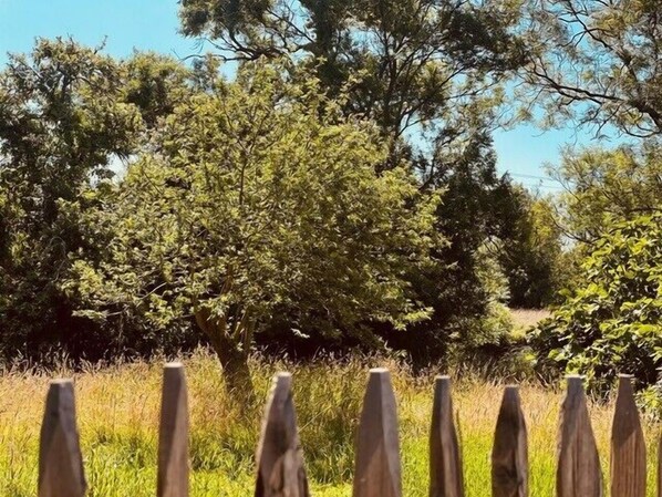 Una valla de madera con puntas, un campo cubierto de césped y árboles al fondo.