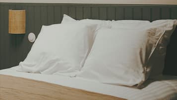 5 bedrooms, iron/ironing board, WiFi, bed sheets