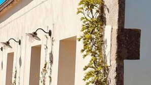 A building with a stone facade, a chimney, and a vine growing on the wall.