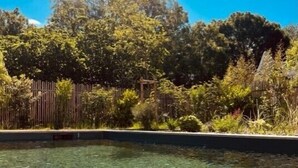 A swimming pool with clear water, surrounded by lush greenery and a wooden fence.