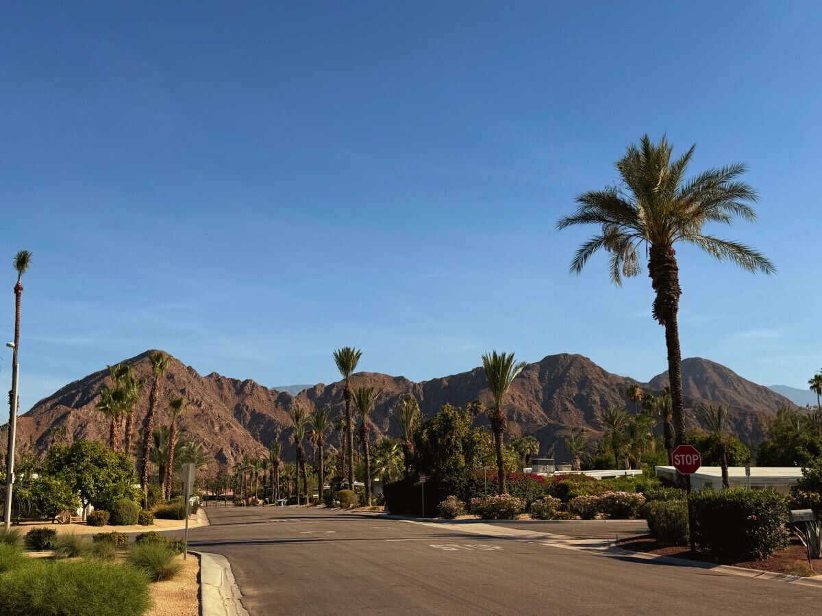 A street with palm trees and mountains in the background.