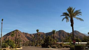 A street with palm trees and mountains in the background.