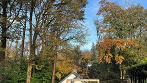 A rustic cabin with a green door, surrounded by dense forest and autumn foliage. - Turn up. Switch off Surrounded by trees with stream nearby, perfect escape for 2 (Windermere)