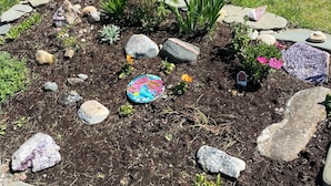 A garden with a solar-powered light post, rocks, and small plants.