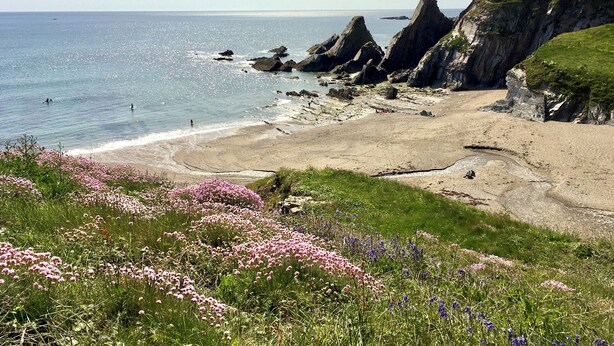 A coastal landscape with a sandy beach, rocky cliffs, and a grassy area with wildflowers. - Coach House Totnes: Natural Luxe (Totnes)