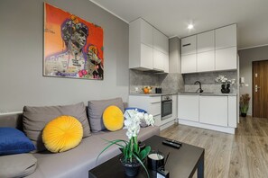 Interior - Lumina modern studio with balcony (Lodz)