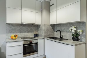 Classic Apartment, Balcony, City View | Private kitchen | Fridge, oven, stovetop, dishwasher - Lumina modern studio with balcony (Lodz)