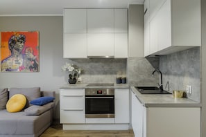 Private kitchen - Lumina modern studio with balcony (Lodz)