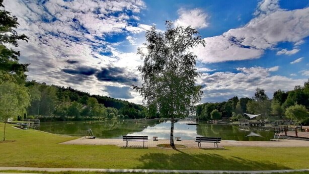 A park with a lake, benches, and a large tree in the center. - Timber Suite - near Rußweiher (Eschenbach in der Oberpfalz)